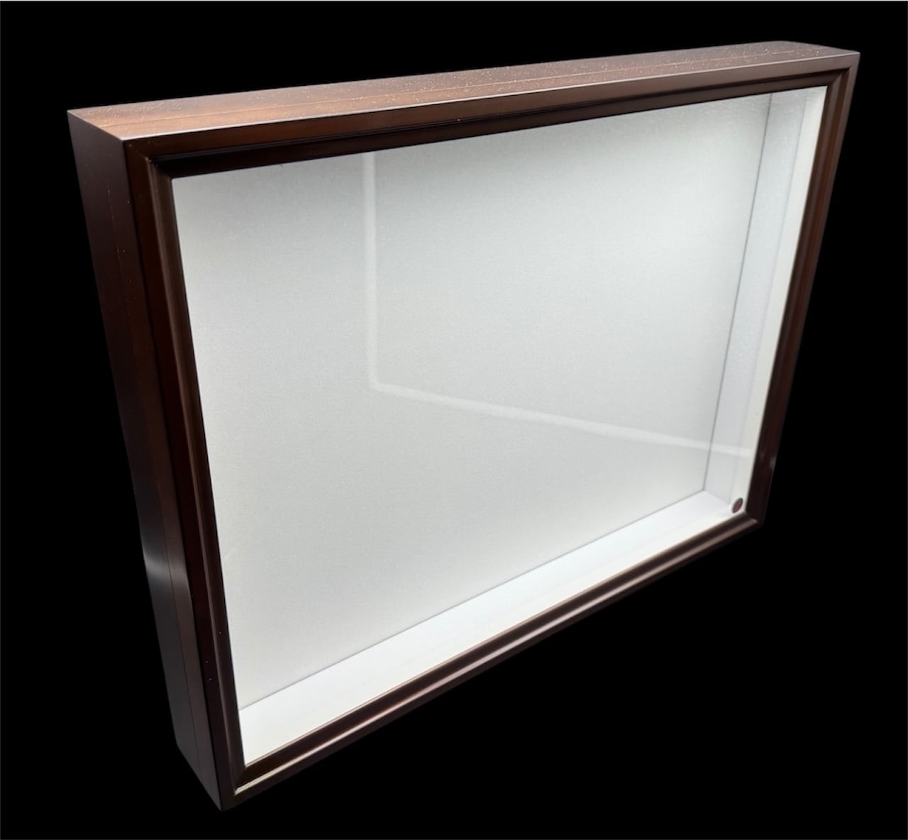 茶】バードウィング製 ドイツ型標本箱 中型BW55 | KPW公式オンライン