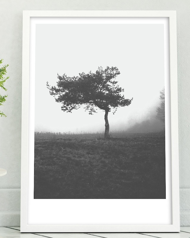 アートポスター / Alone tree  eb116