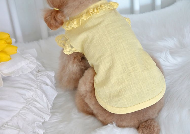 【SALE】 linen lace blouse XS ~ XL 3color  /  犬服 春夏 新作 レース ブラウス リネン トップス ドッグウェア 涼しい シンプル 犬の服 top113