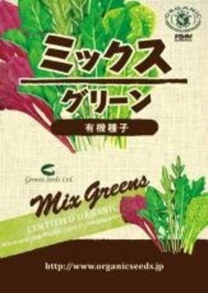 ミックスグリーン 約２００粒　ＮＬＳ