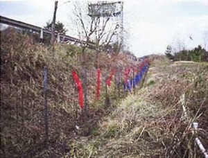 撃退シカ激臭シート3個入 4.5m用 シカ対策 激辛臭が約２倍の強力タイプ 効果は驚きの１年間！…