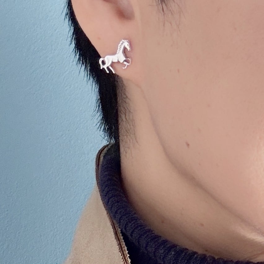 再入荷】馬 と 馬蹄 の 3点セット スタッド ピアス 馬 蹄鉄 ホース