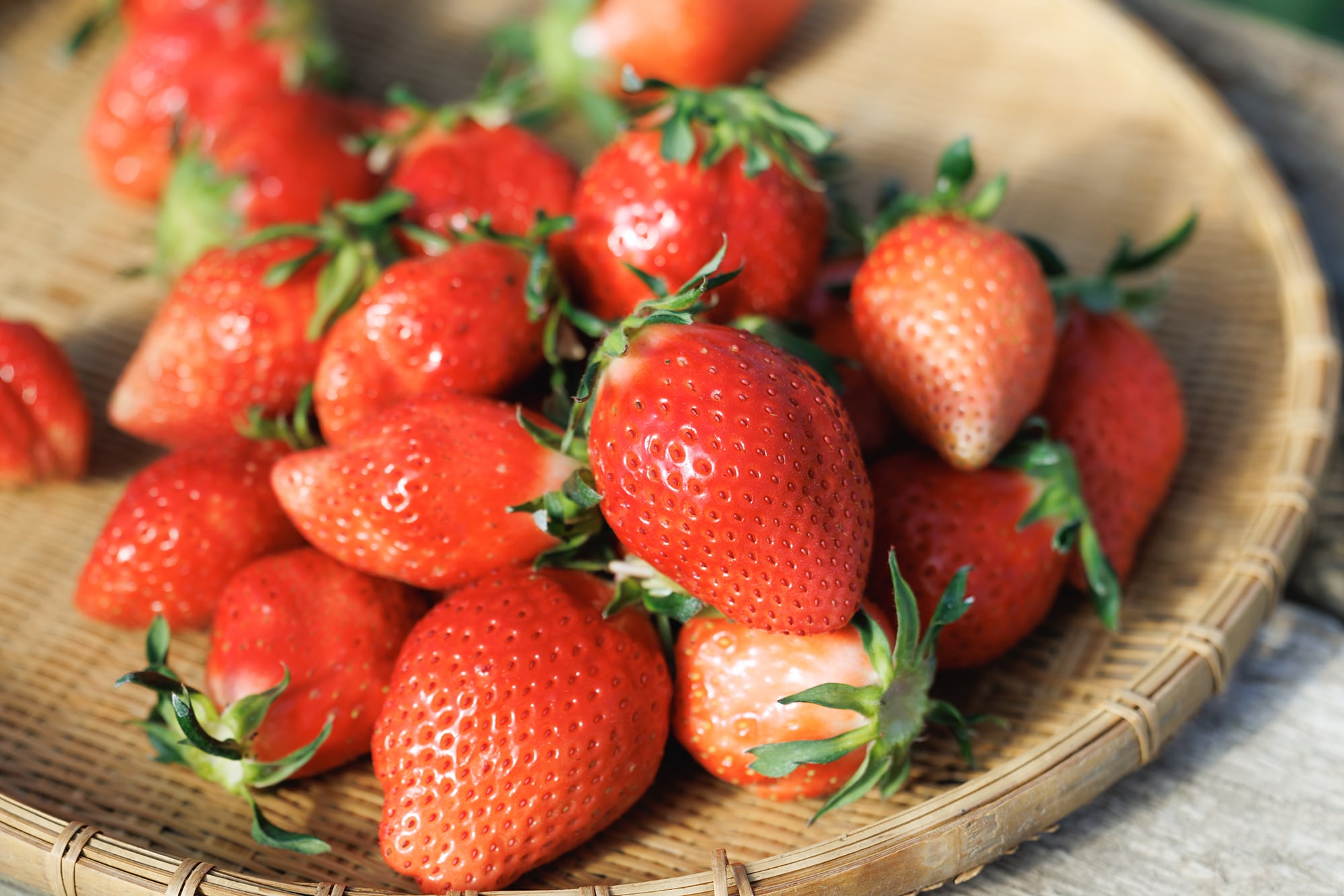 極み/70g以上】あまい雫 1粒入(桐箱入) | 苺屋永井