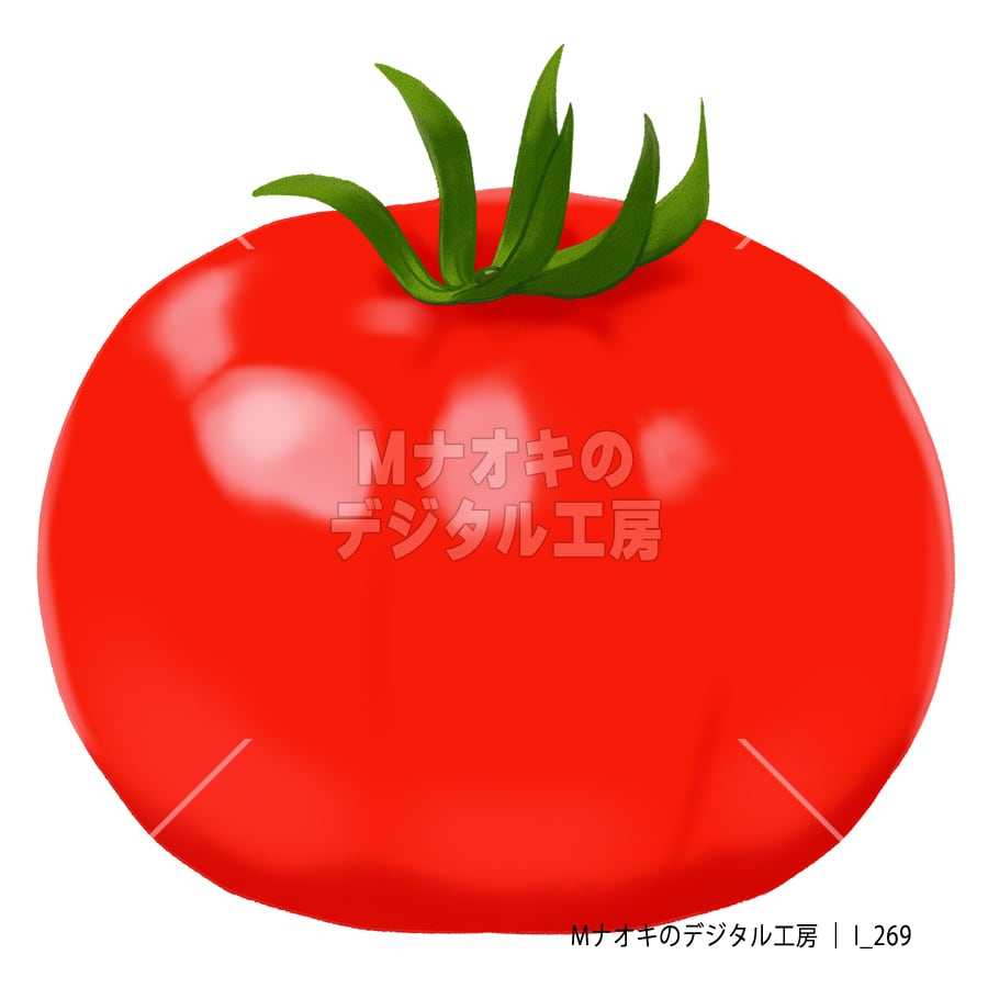 トマト 【I_269】 tomato