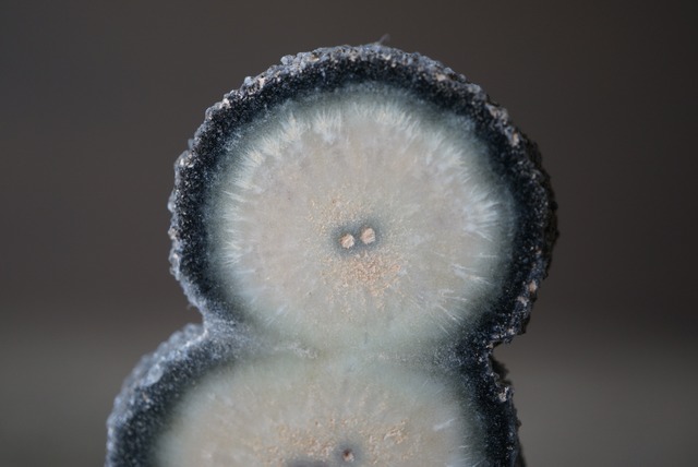 アメシスト(スタラクライトスラブ) Amethyst 1583