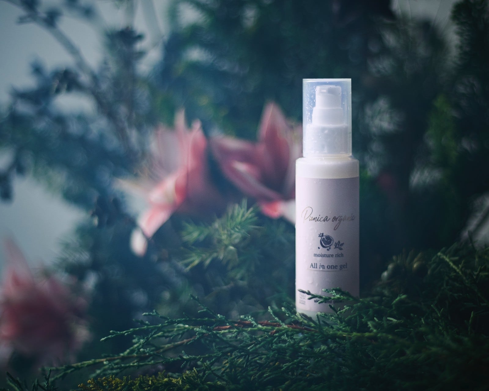 送料無料】ビモア オールインワンジェル 【公式通販】