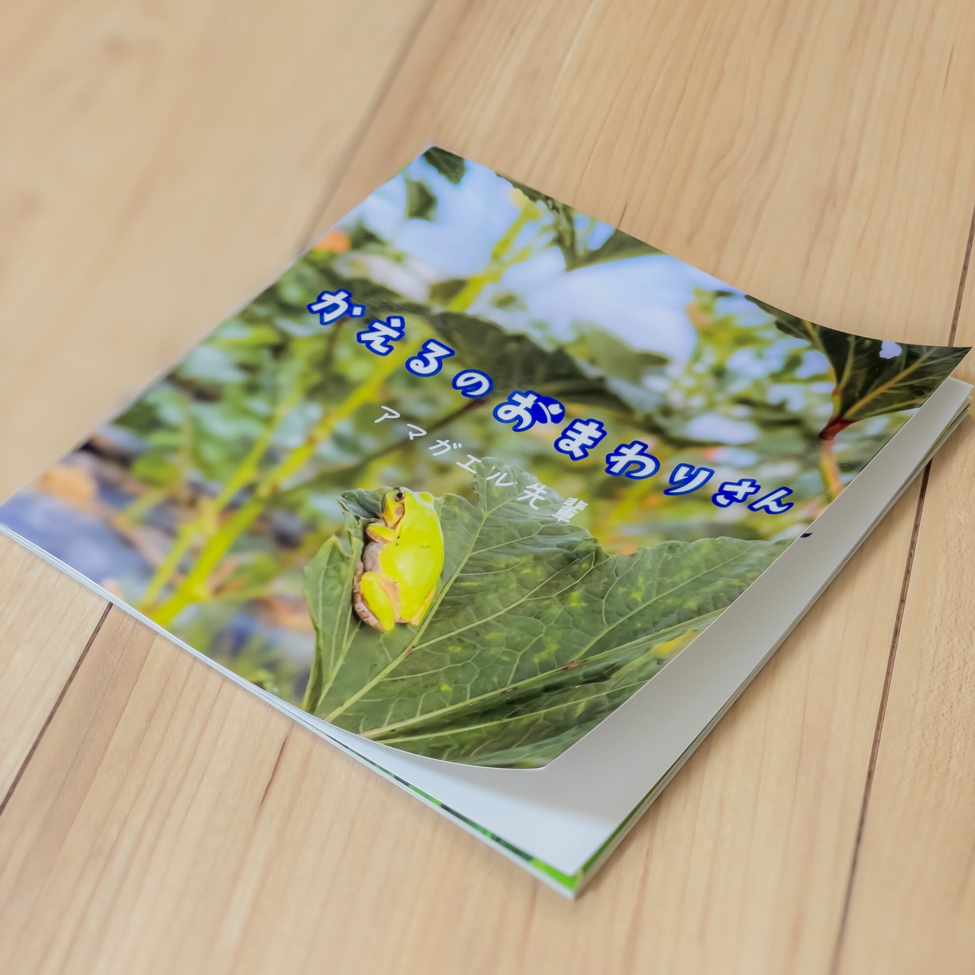 英語のソフトカバー絵本 5冊セット ソフトカバー絵本】かえるの