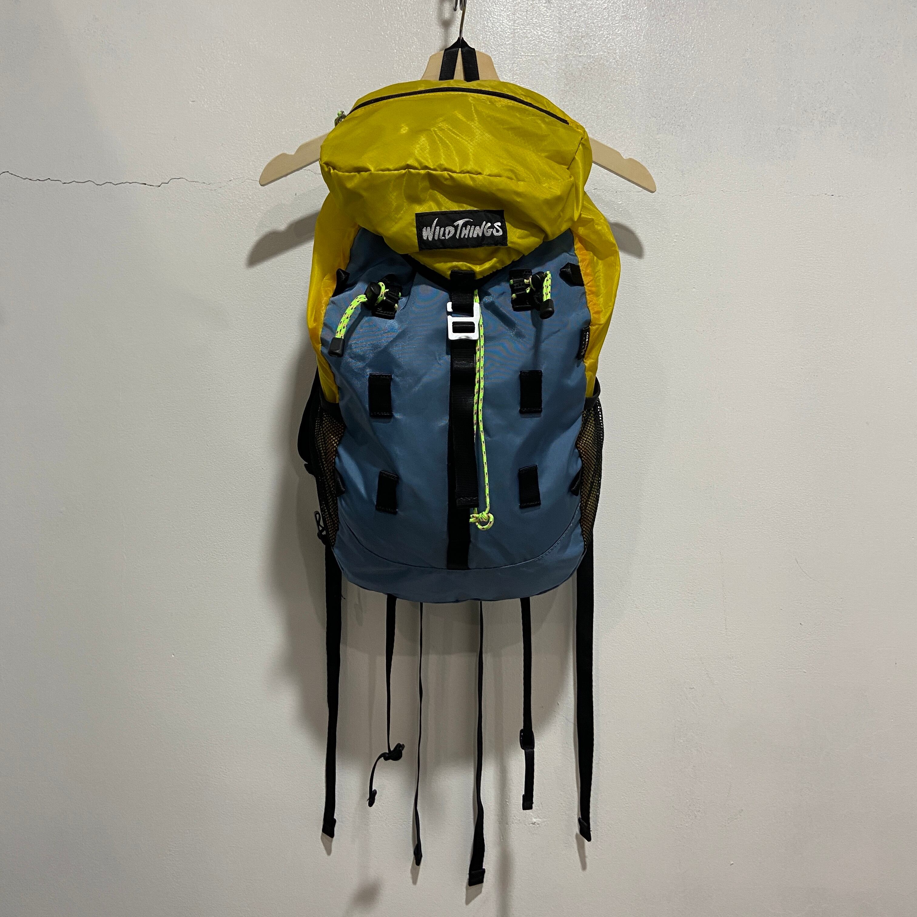 Patagonia パタゴニア ネイティブ柄 リュック daypack