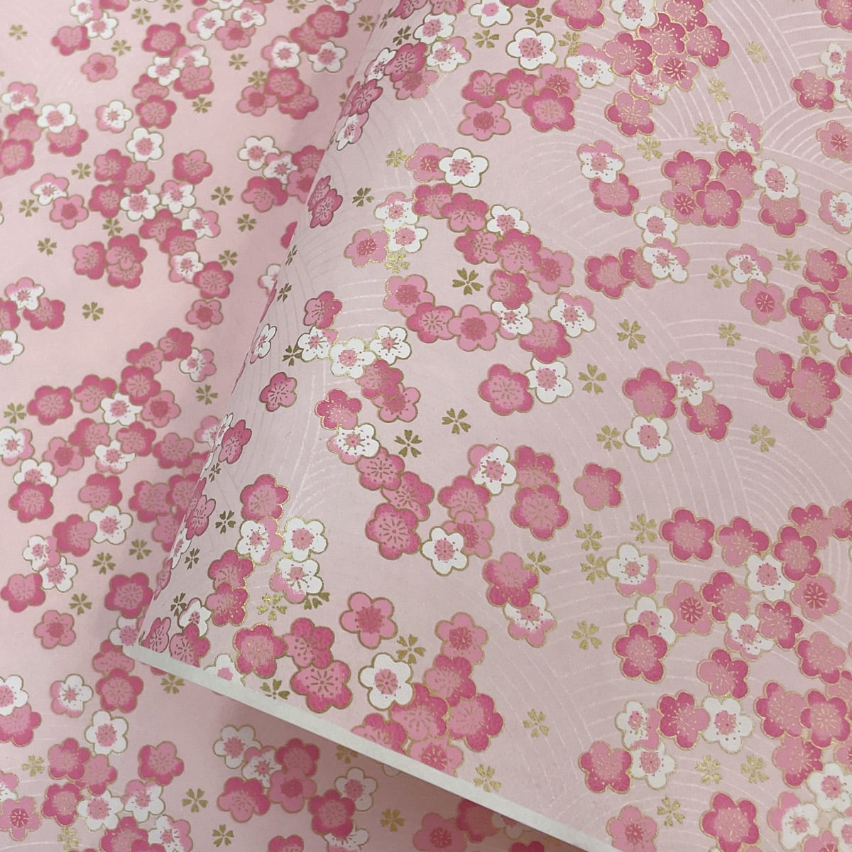 ALL ITEM | 森田和紙オンラインショップ《倭紙の店》