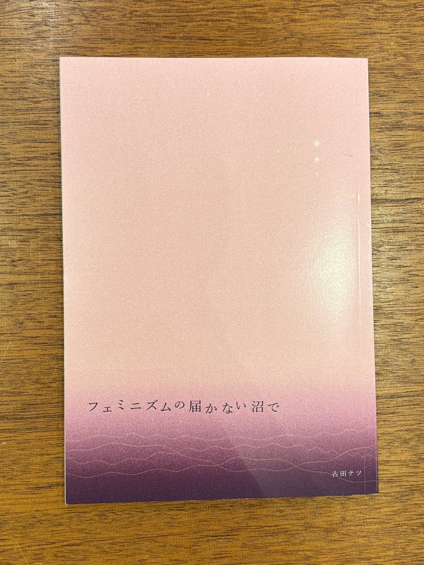 樋口毅宏『なぜ本を読むのか、なぜ映画を観るのか、なぜ音楽を聴くのか