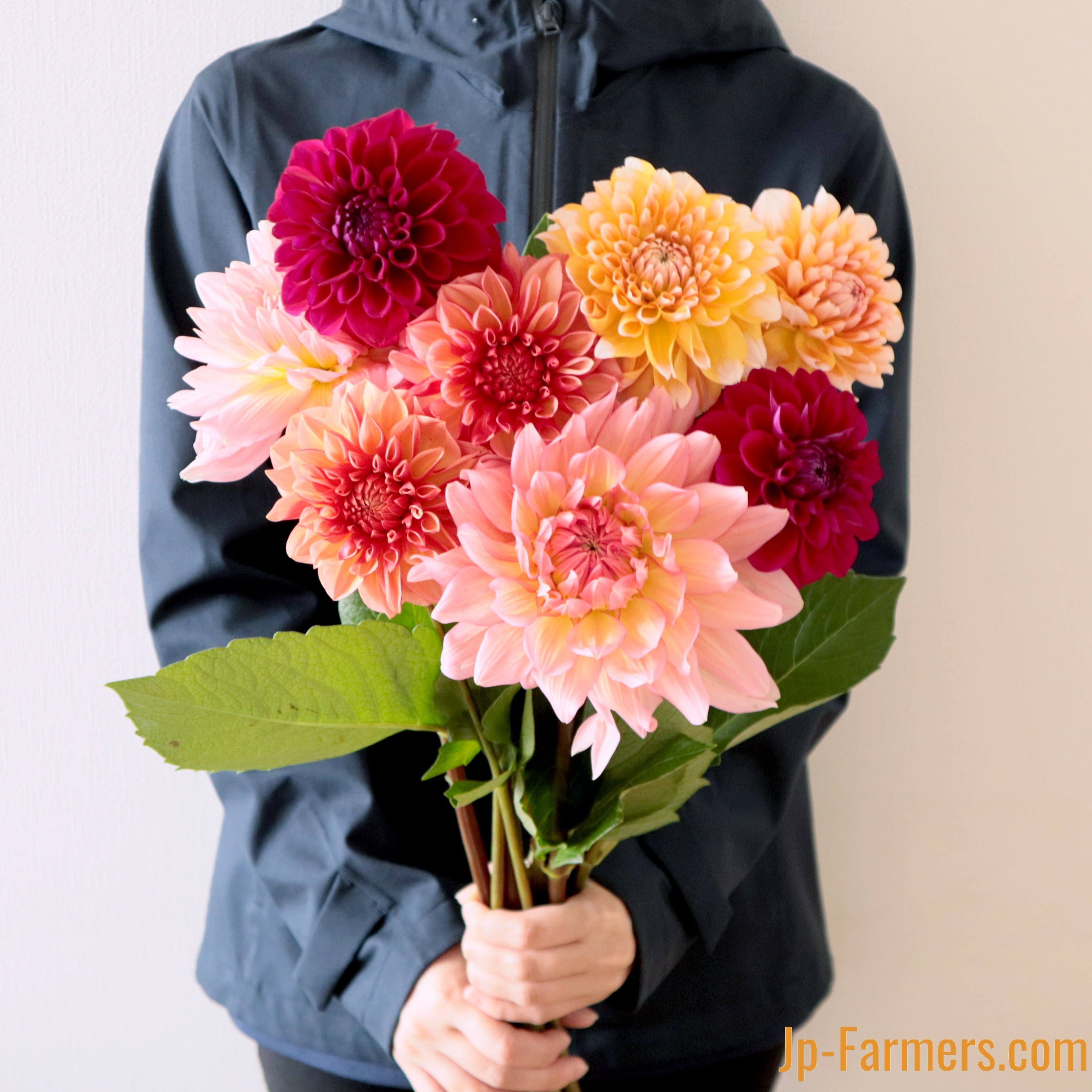 バラとダリアとピオニーの華やか豪華特大リース♪❀ボリュームタイプ❀ 今年の予約販売始まります。 高級ダリア!! 色・品種お任せ