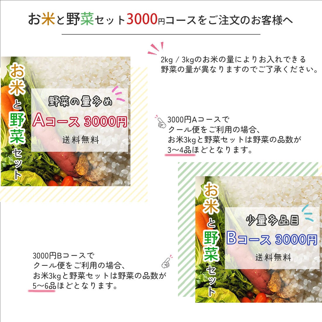 お米と季節の野菜3000円【Bコース】　無農薬　信州の風