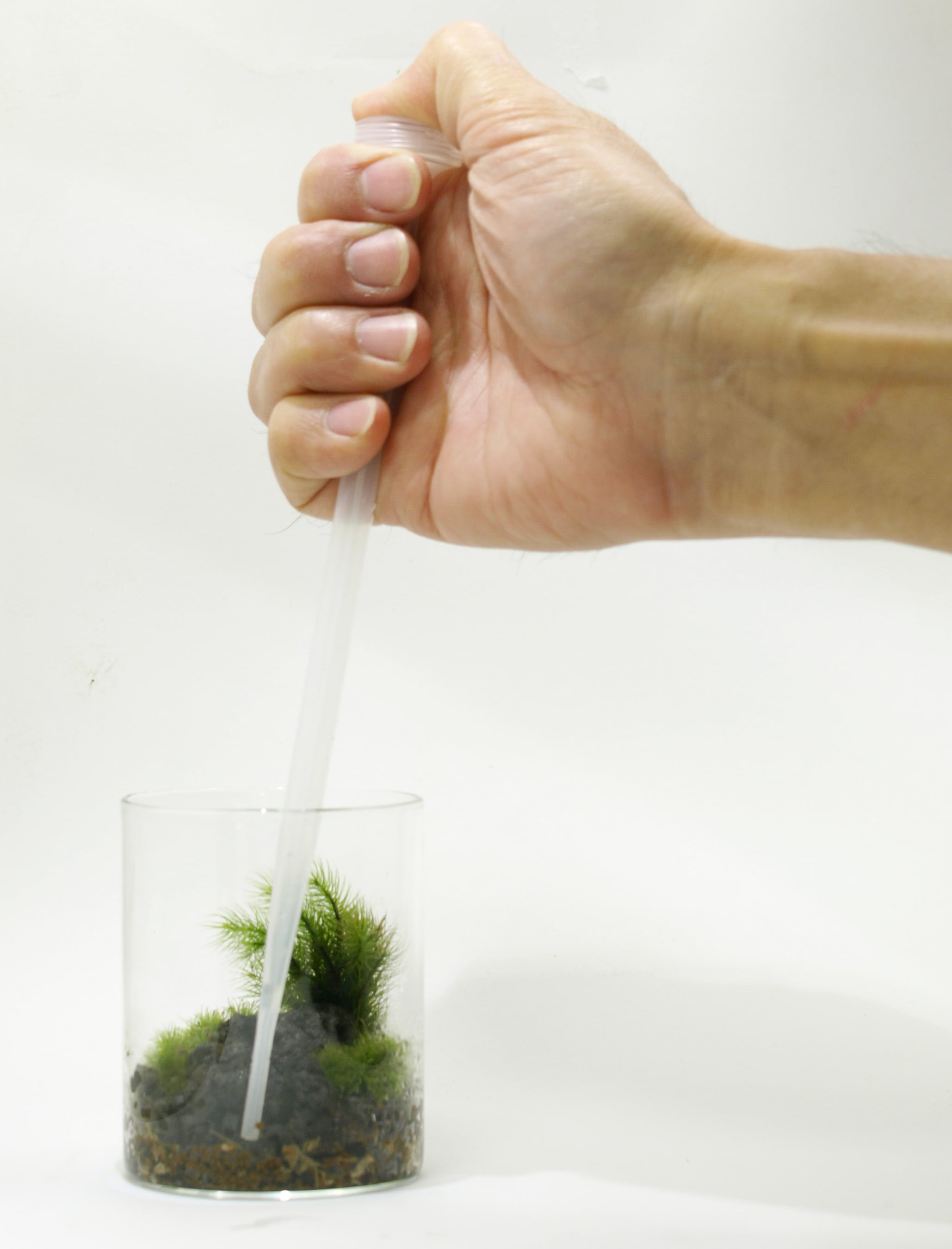 ケミカルスポイト 2ml | 苔テラリウム専門ショップ道草