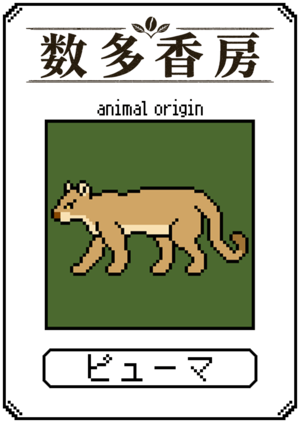 ピューマ｜グァテマラ