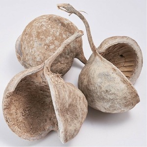 RM ブッダナッツ ホワイト 【1個】