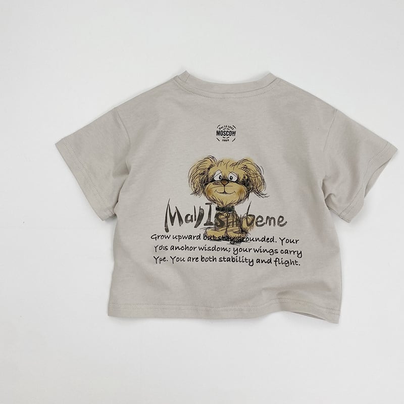 80～90s OLD STUSSY/BIG and MEATY Tee/USA製/黒タグ/S/dinosaur/恐竜