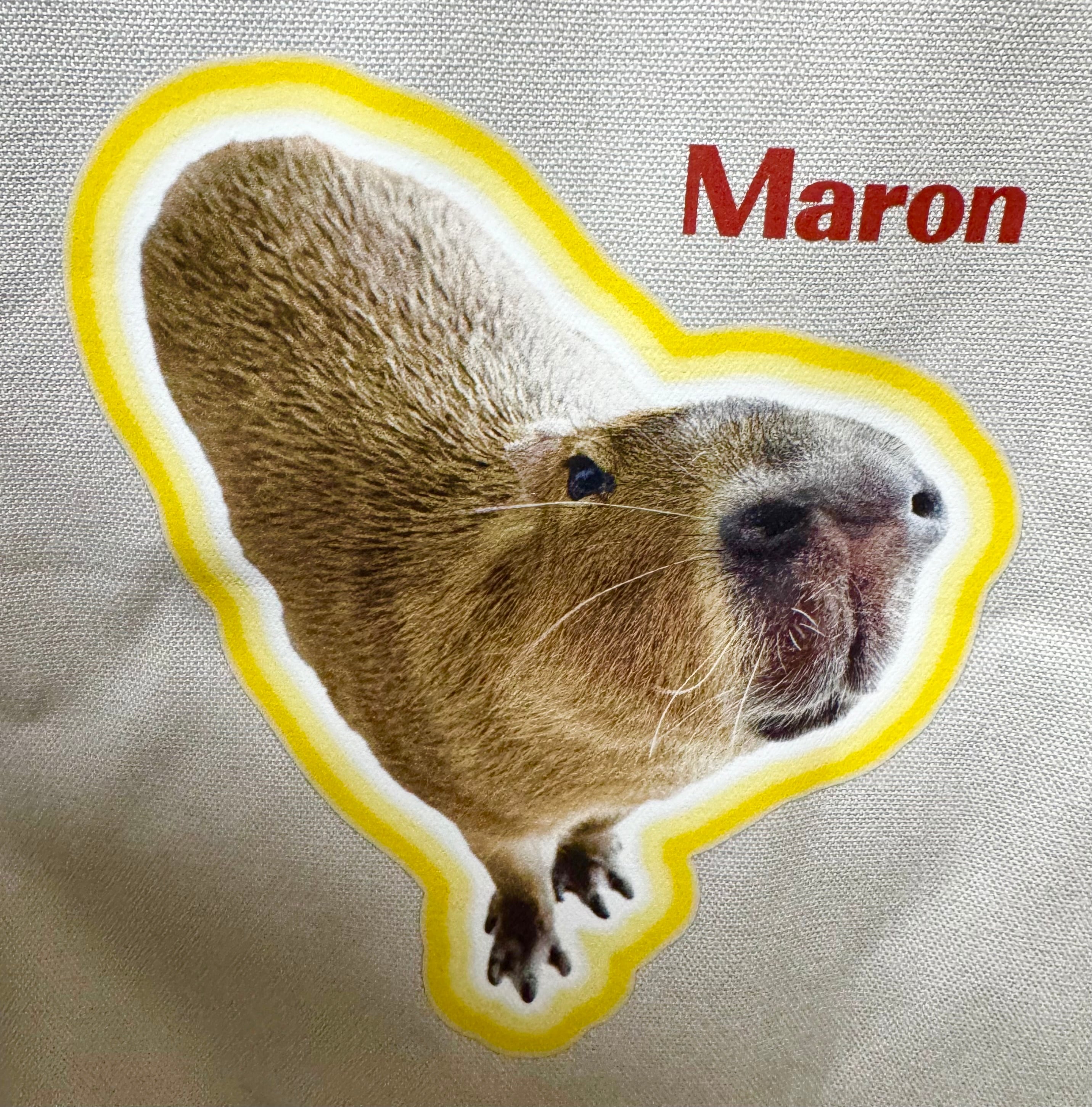 マロンちゃんトートバッグM / Maron-chan Tote Bag M | CAPINGO