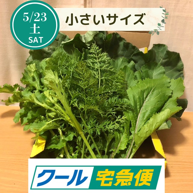 ＜クール便・5/23（土）収穫・発送＞【小さいサイズ】季節のお野菜セット