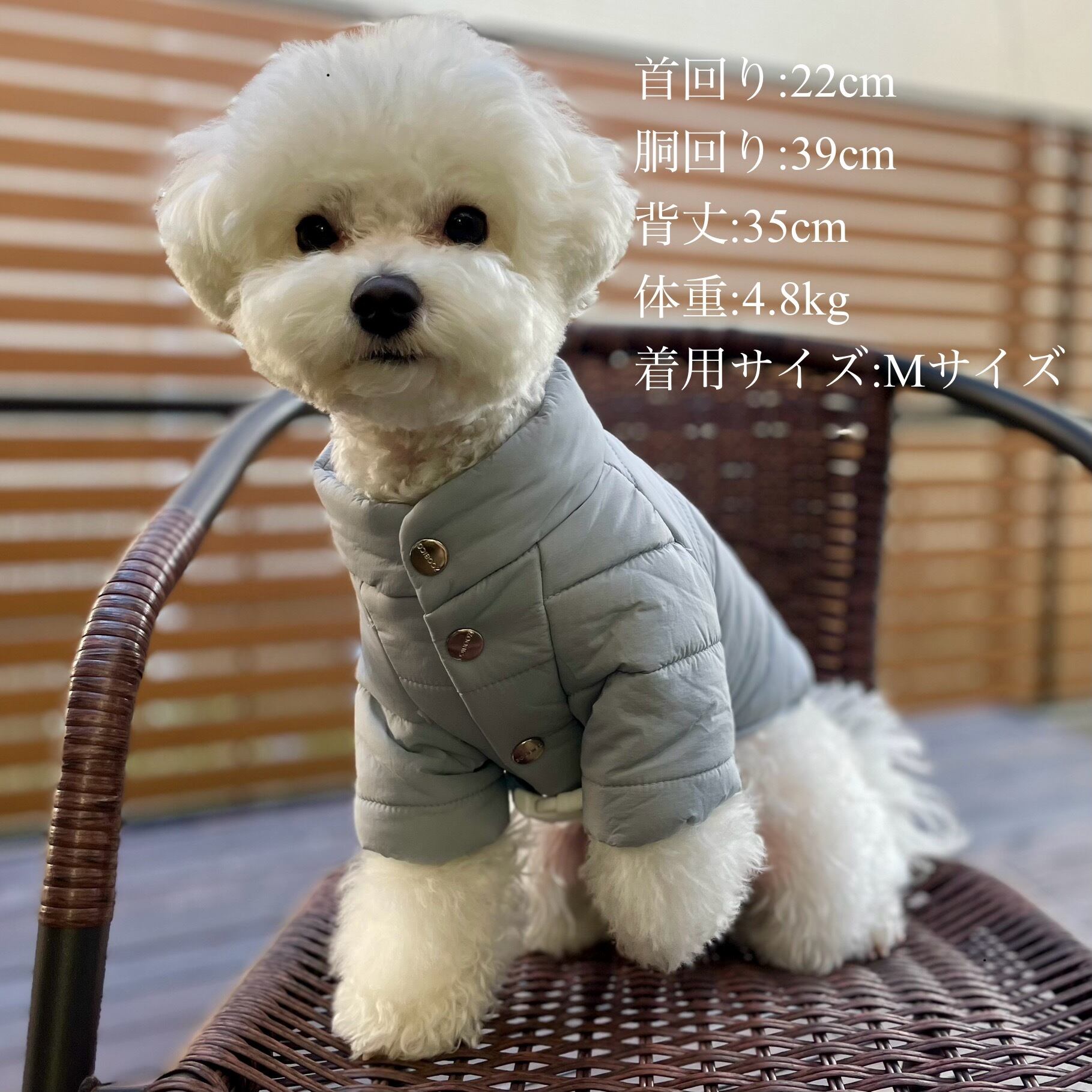 即納】クラウドパディングジャケット 韓国犬服 | piccolino(ピッコリーノ)