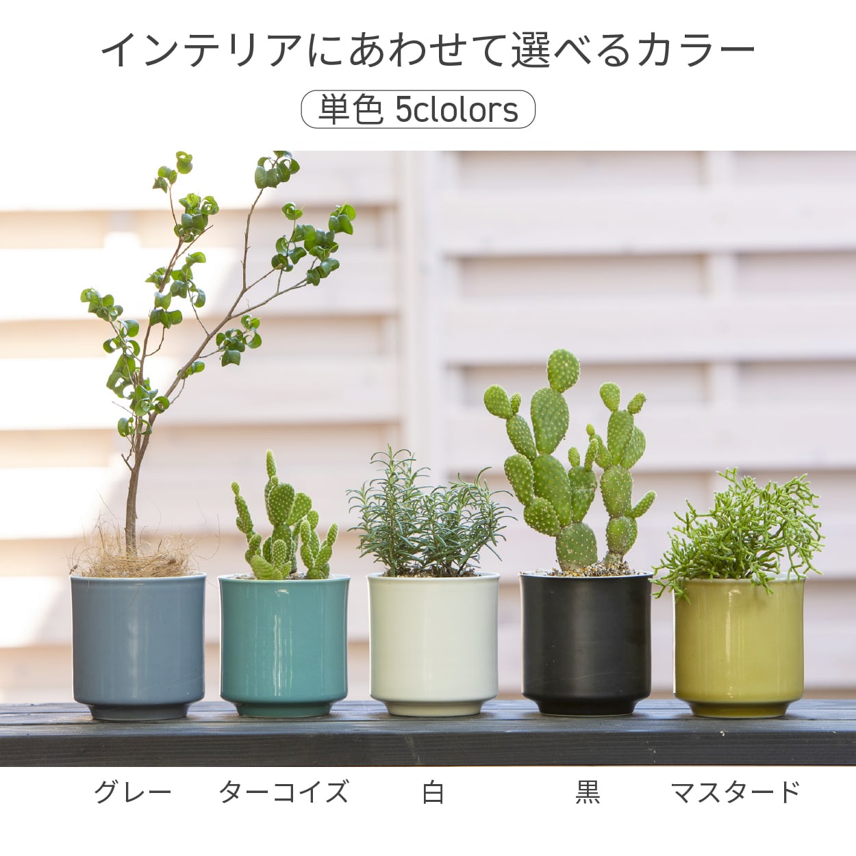 植木鉢 陶器 おしゃれ 室内 かわいい 北欧 鉢カバー 10.5x11.5cm