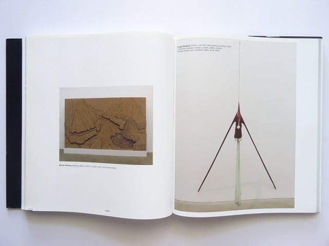 洋書◇トリノ現代美術機関 コレクション写真集 本 絵画 画集