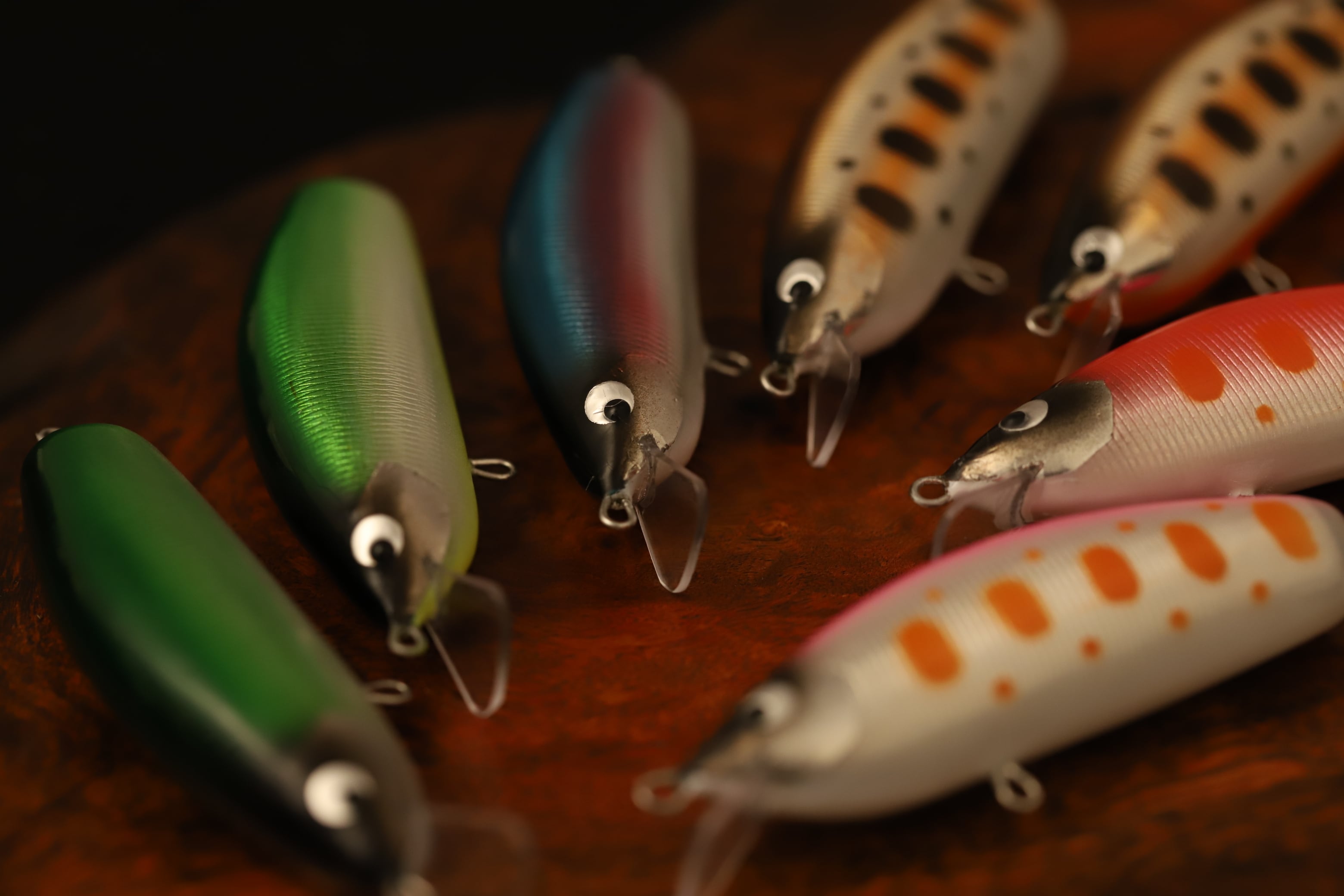 BEAMS THEORY PATHFINDER 60 MD and Floating | ネイティブトラウト