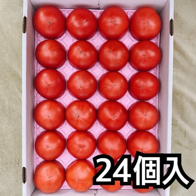 新鮮桃太郎春トマト２４個　トレイ入り　４㎏以上　３５００円