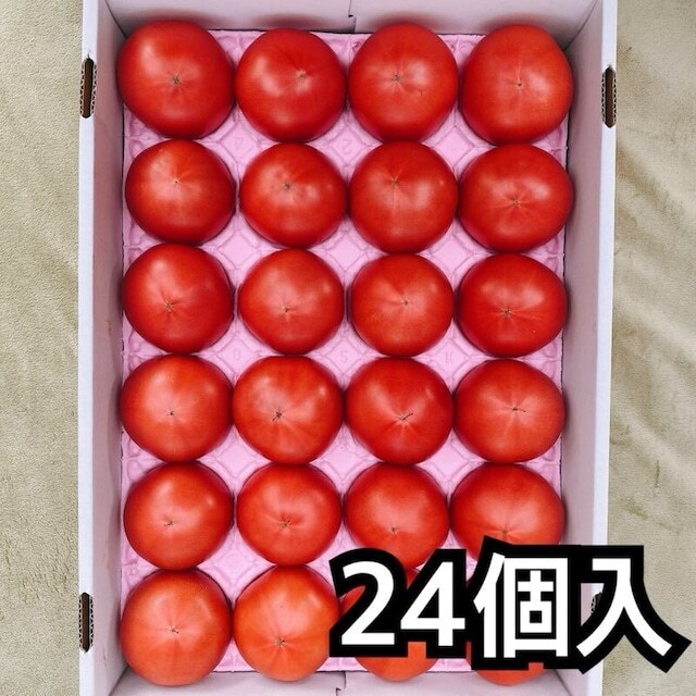 新鮮桃太郎春トマト２４個　トレイ入り　４㎏以上　３５００円
