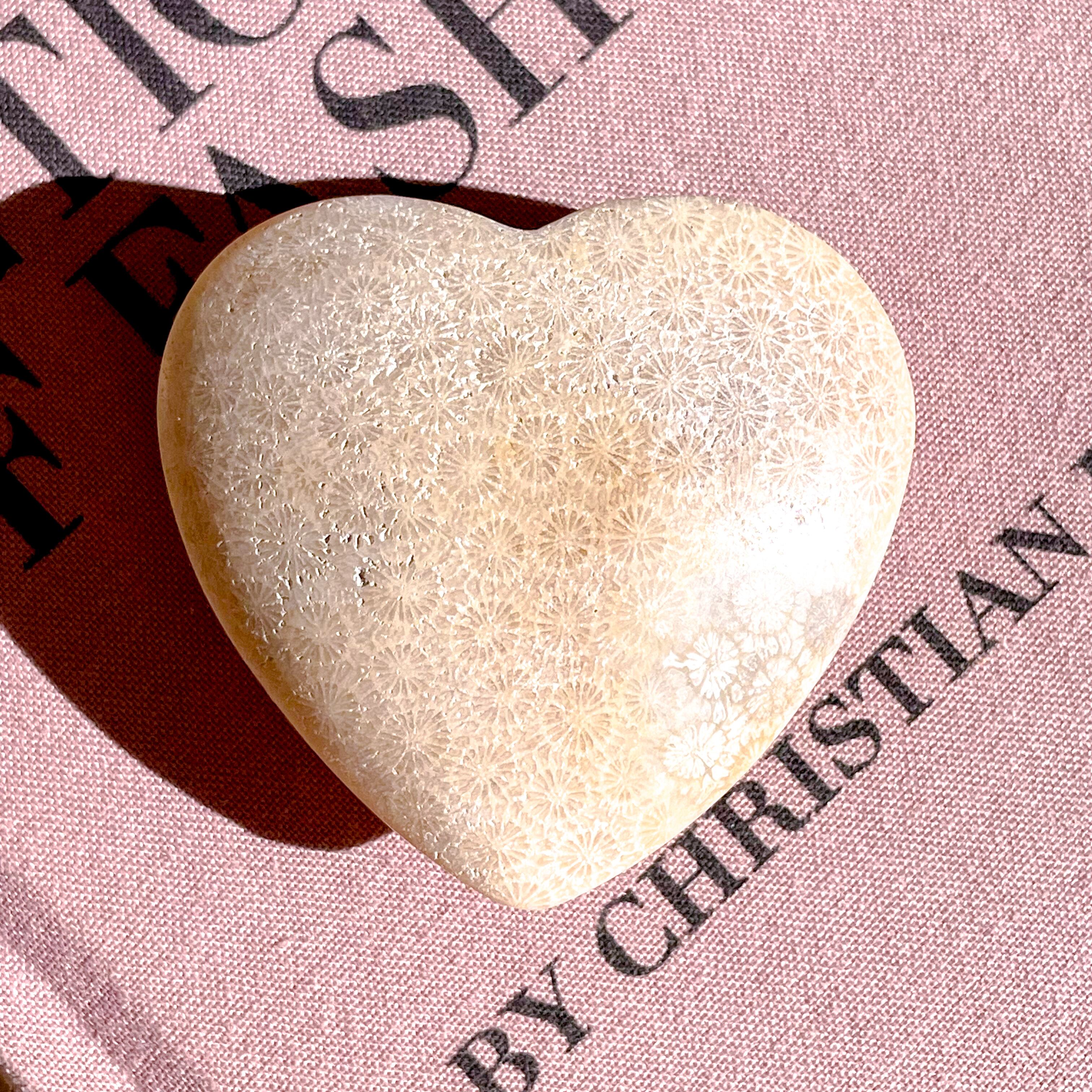 Fossile Coral Heart 3✧ フォッシルコーラル