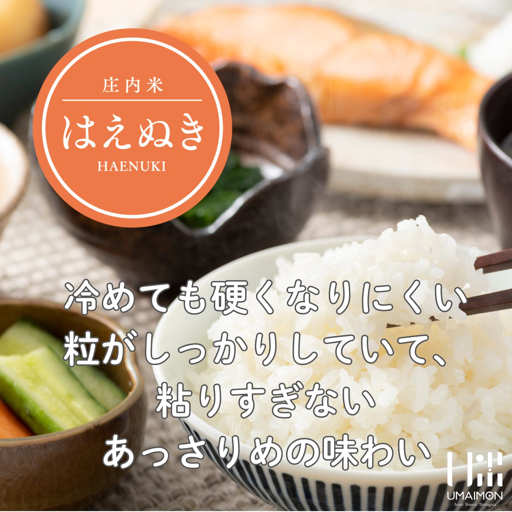 はえぬき 10kg 令和7年山形庄内産 | U米MON庄内