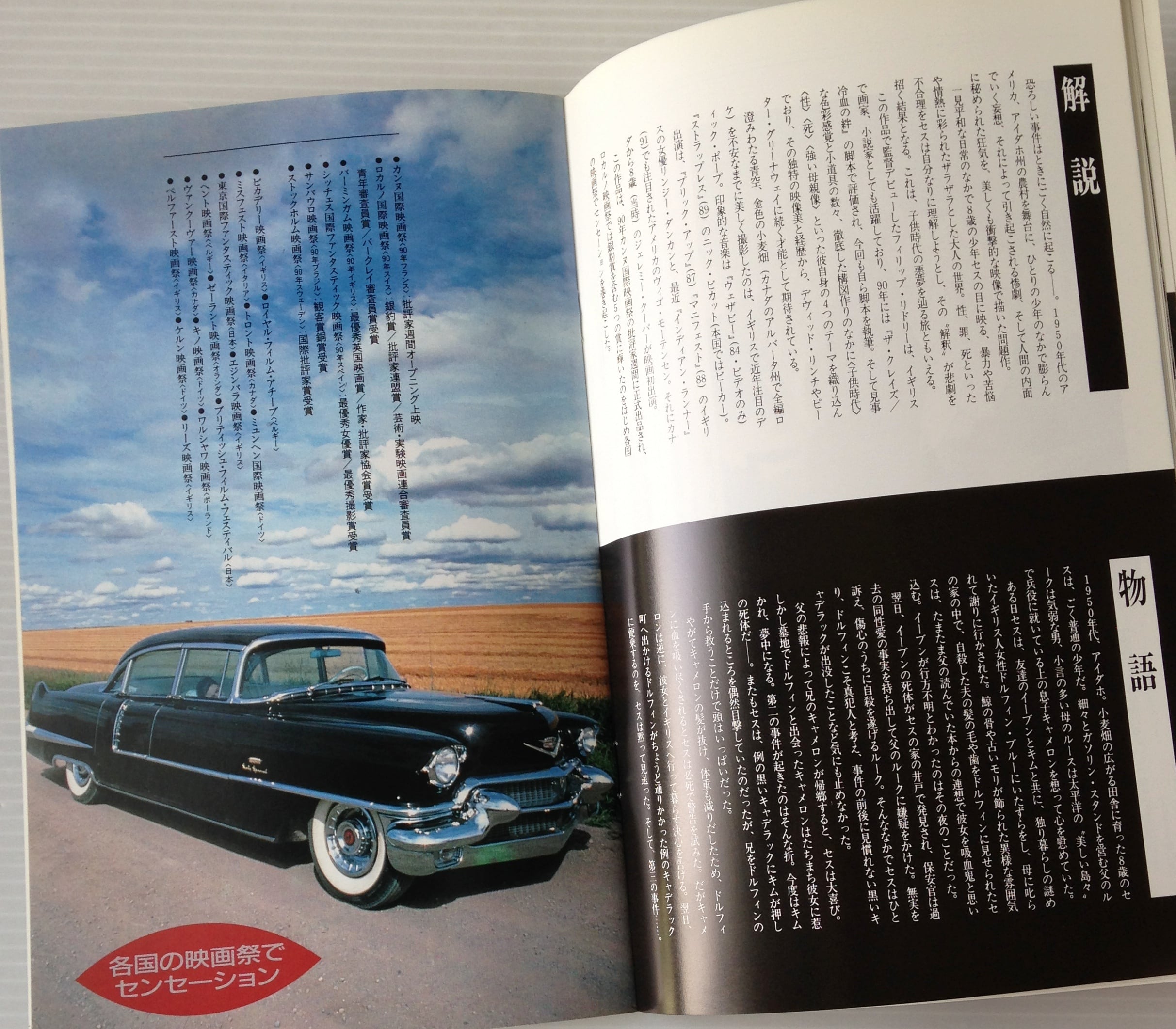 映画パンフレット 柔らかい殻 Cinema Square Magazine95 古書店 リブロスムンド Librosmundo
