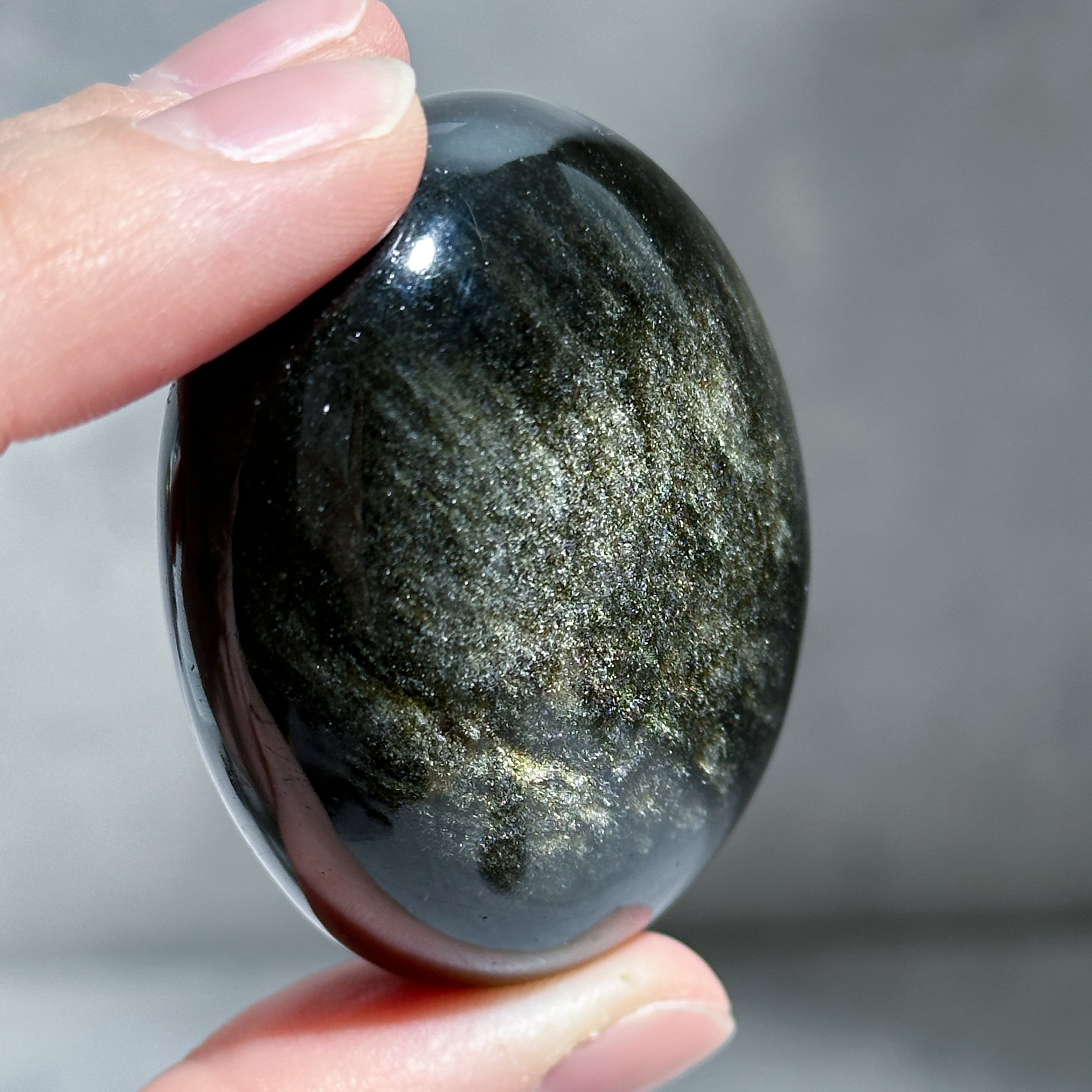 ゴールデンシーンオブシディアン パーム13◇Goldensheen obsidian