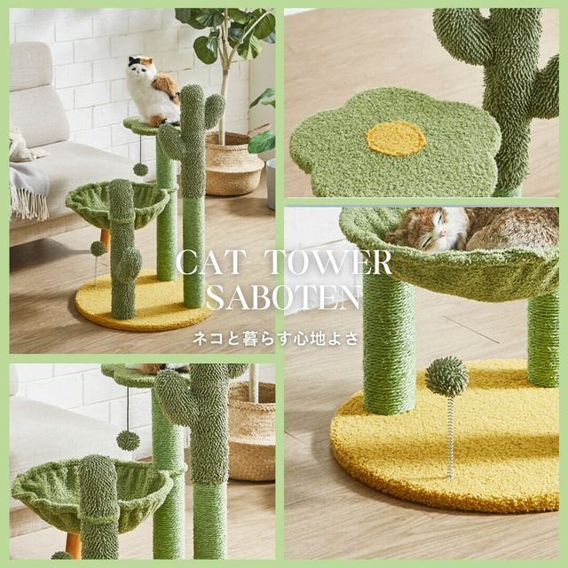 キャットタワー さぼてん・テディボア