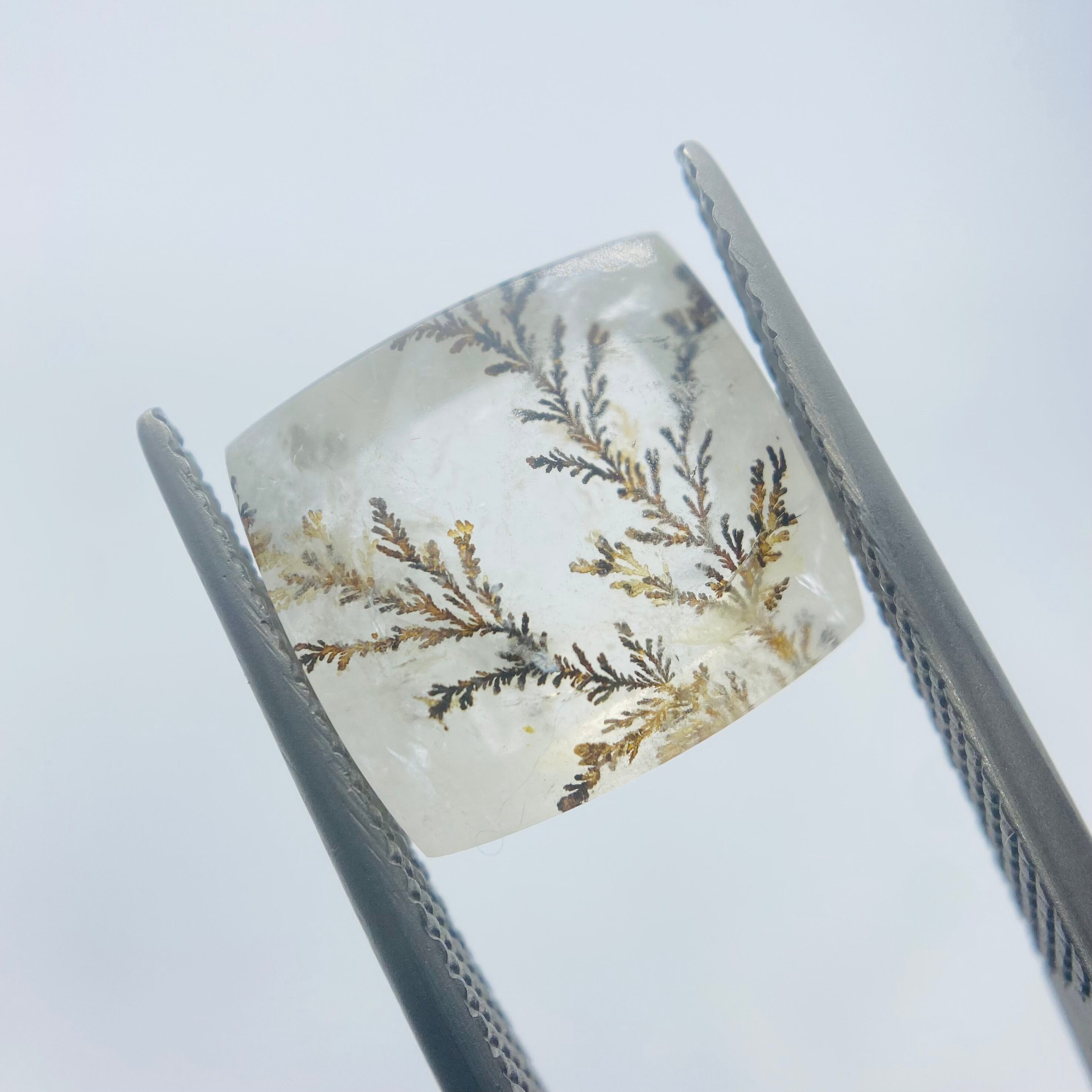 インスタライブでご紹介　デンドリティッククオーツ