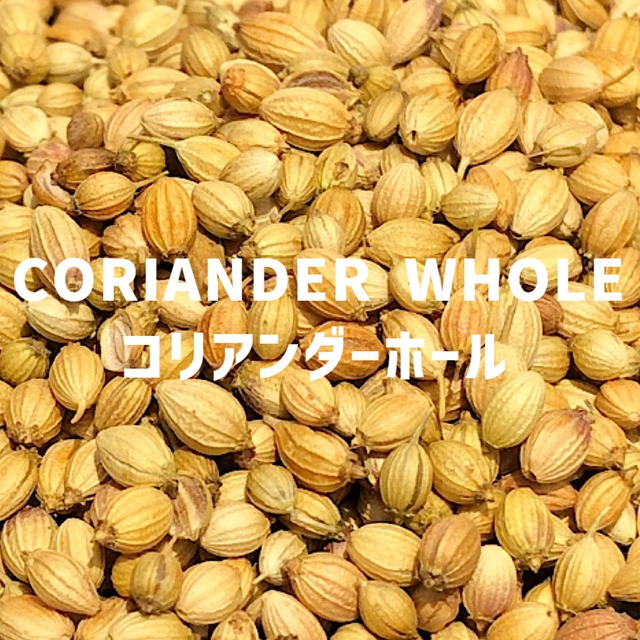 【100g】コリアンダーシード（ホール）CORIANDER WHOLE Coriander Whole【シード　ホールタイプ 】【スパイス 香辛料 調味料 薬膳 料理 味付け 乾燥 ドライ】【nature ナチュール】