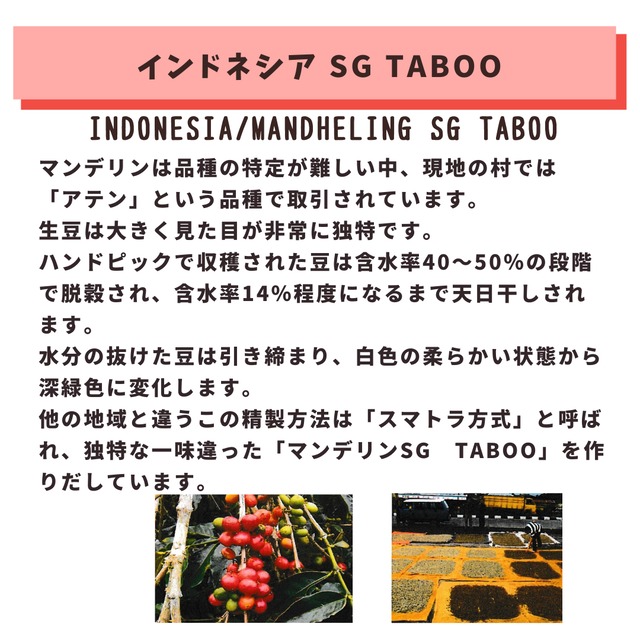 インドネシア　マンデリン SG TABOO　100g