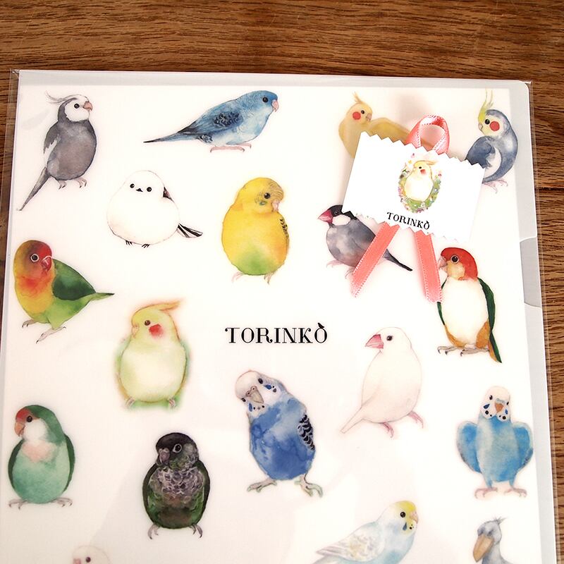 A4クリアファイル「52羽の鳥・インコ・オウムたち」TORINKO | TORINKO