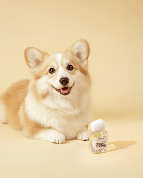 【Velvetail Perfumes】Welsh Corgi