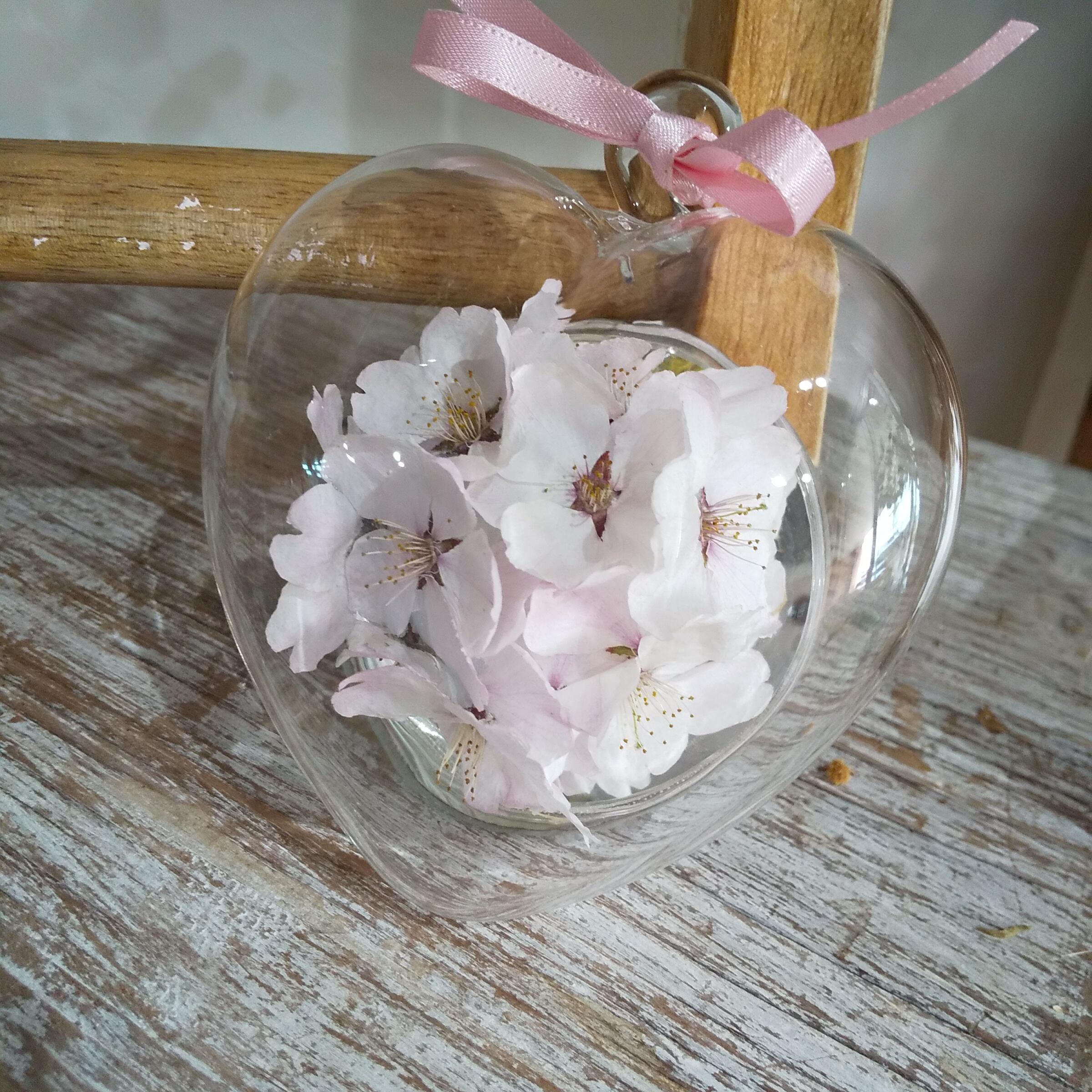 ドライフラワー 桜 ハート Chloris クロリス