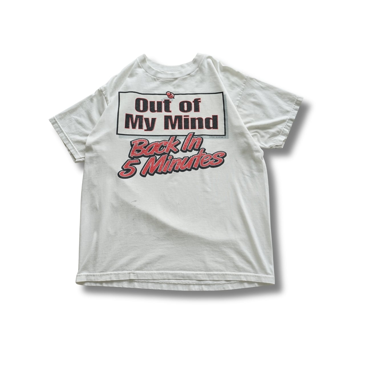 GILDAN BLINDED BY SCIENCE TEST ANSWER 総柄プリントTシャツ（Lサイズ