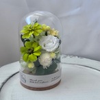 【送料無料】ガラスドームフラワーグリーン【7色】 誕生日　お祝い　ギフト　お供え　アレンジ　退職　お見舞い