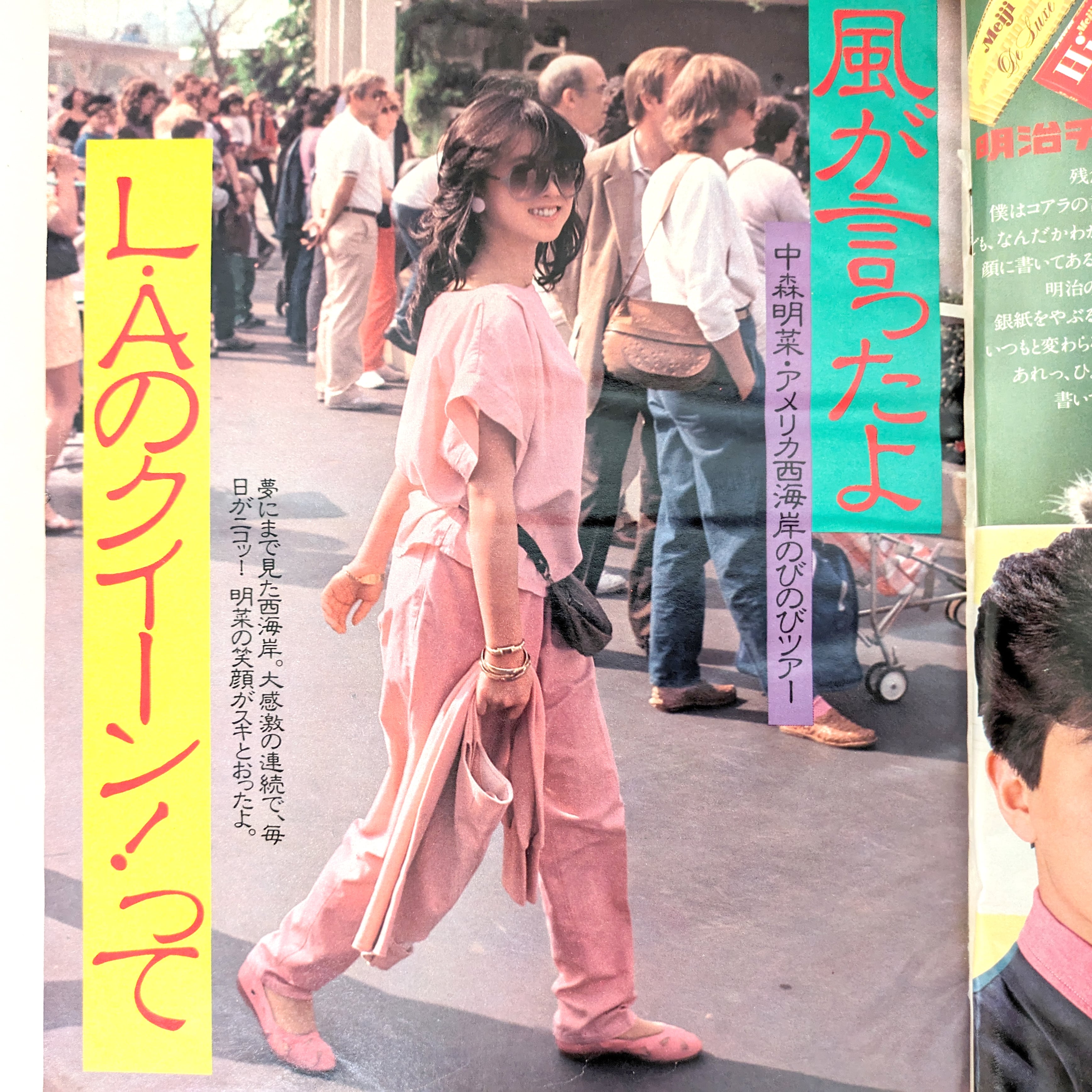 明星　1983年2月号 5月号　付録なし 明星 1983年2月号 5月号 付録なし