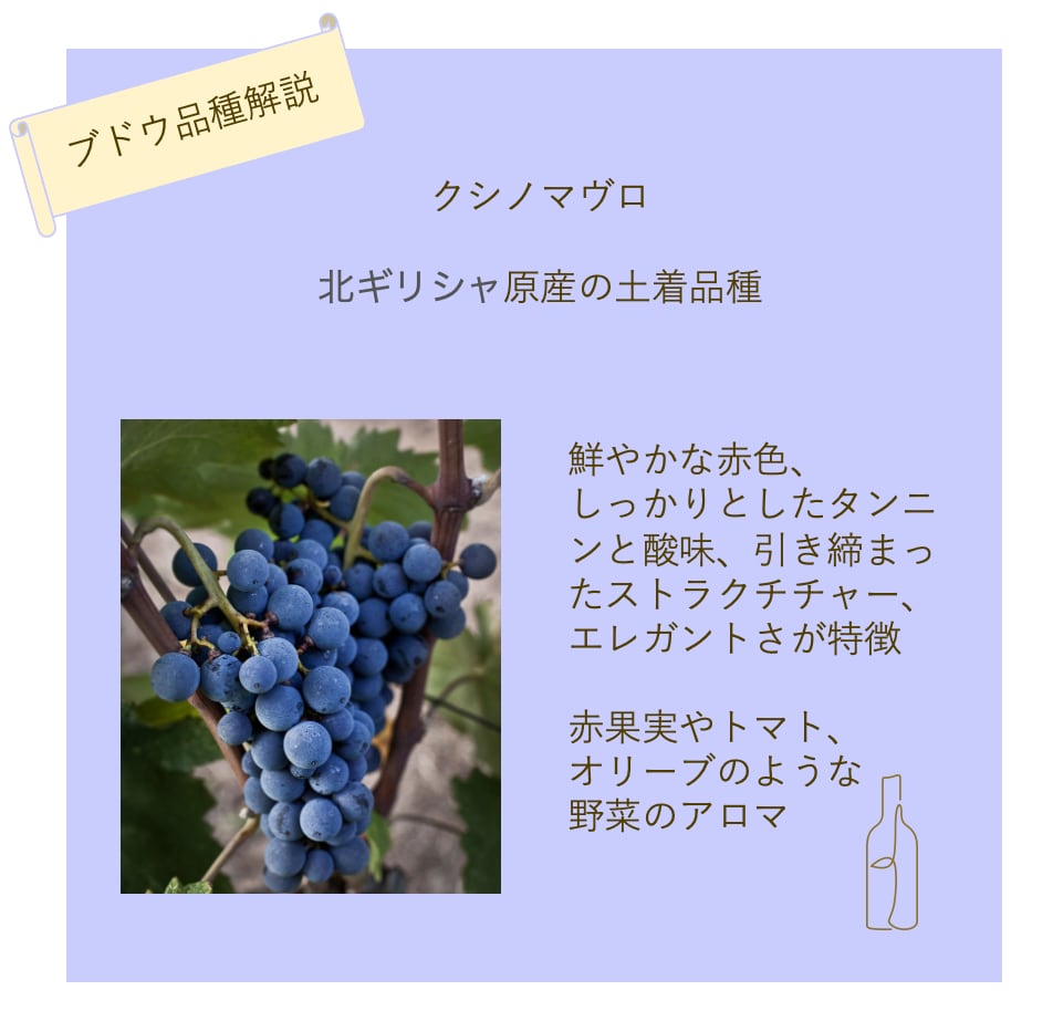 飲み頃VT【キリ･ヤーニ】カリ・リーザ 2019