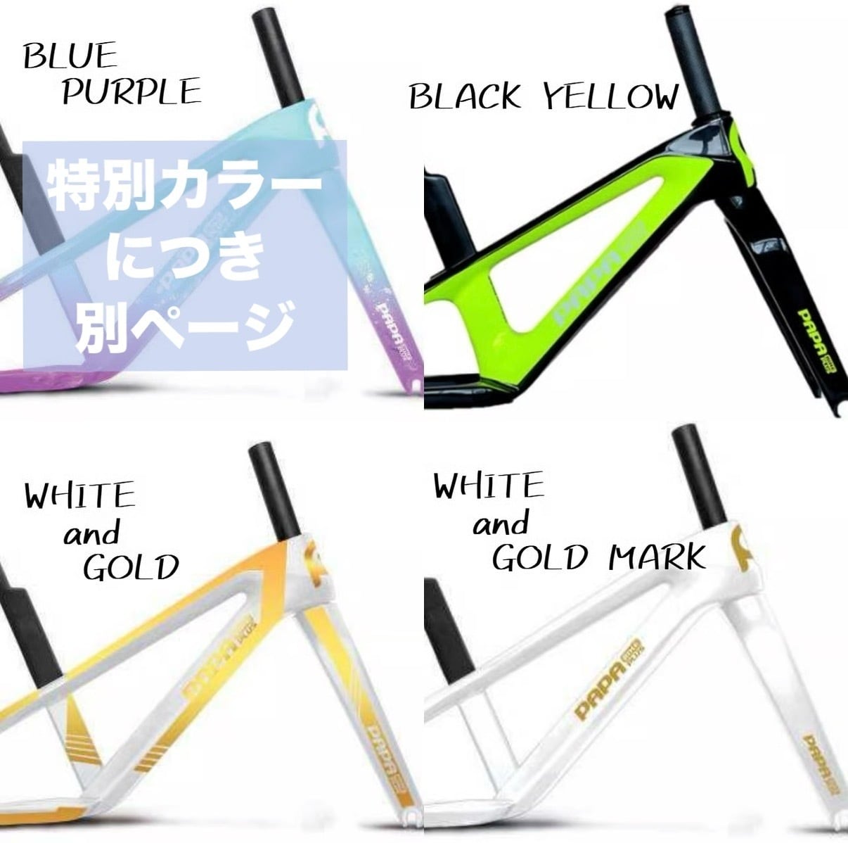 最終値下げ★PAPABIKE STORM パパバイク カーボンフレーム ➖ STORM PRO ➖ PAPABIKE CARBON FRAME | sparkle2021