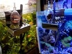 3個セット】ステンレス製ツールスタンド フードボトルTYPE | 水景工房
