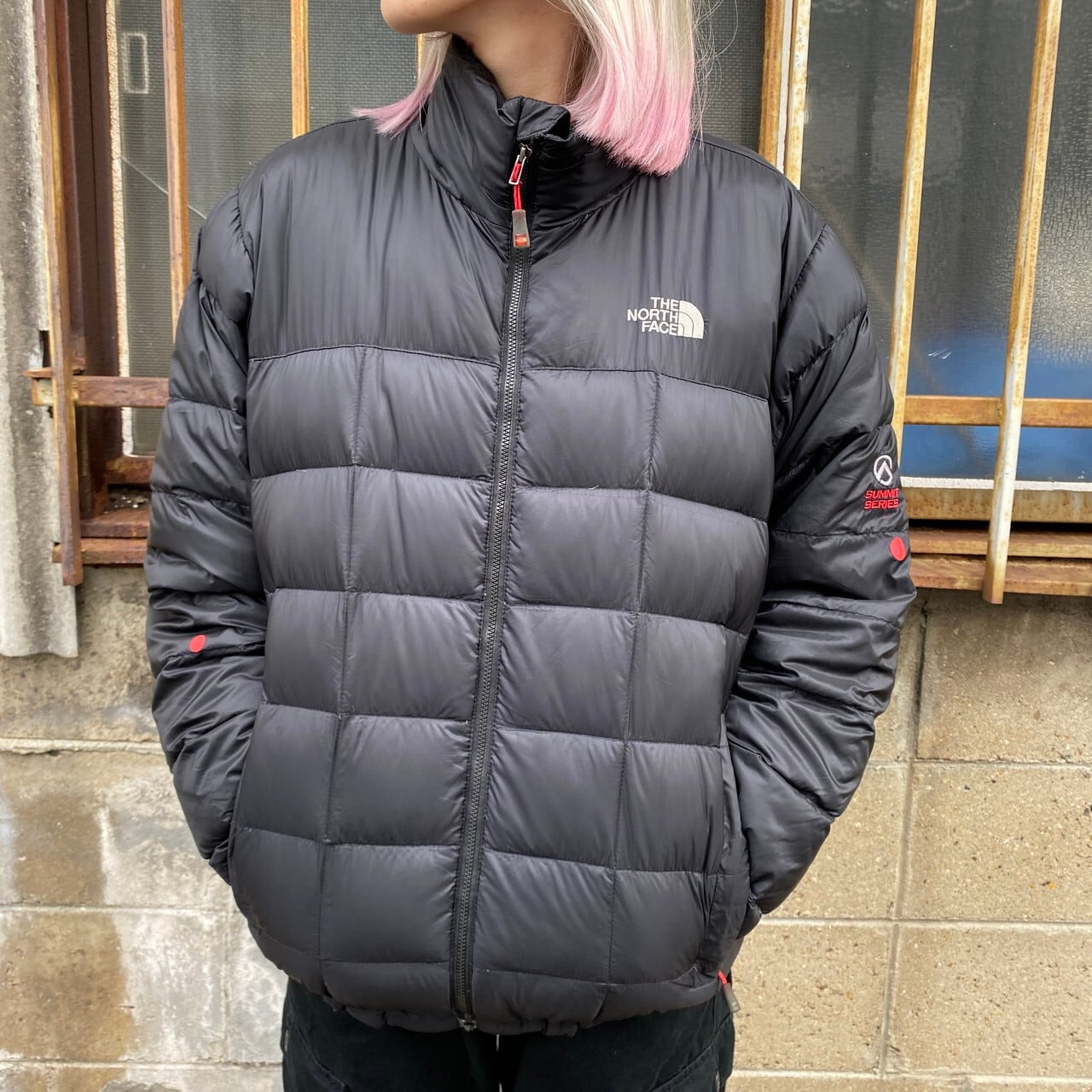 ザ ノースフェイス サミットシリーズ 800フィル ダウンジャケット  
