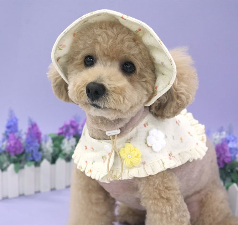 romantic cape & cap set 2color / 犬用 帽子 ケープ バンダナ スカーフ アクセサリー ドッグウェア ペット用 cap 被り物 パーティー インスタ映え お出かけ お揃い 撮影会 キャップハット