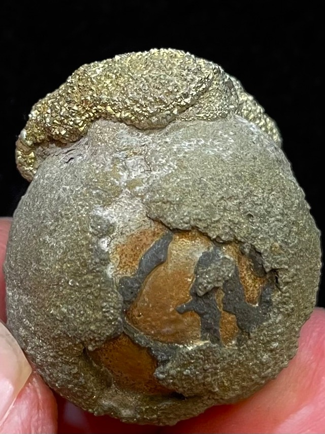 8) 「幸せ」を捕縛する＊ハピネス・キャプチャー「ジャラストラ(絹の網)」中型