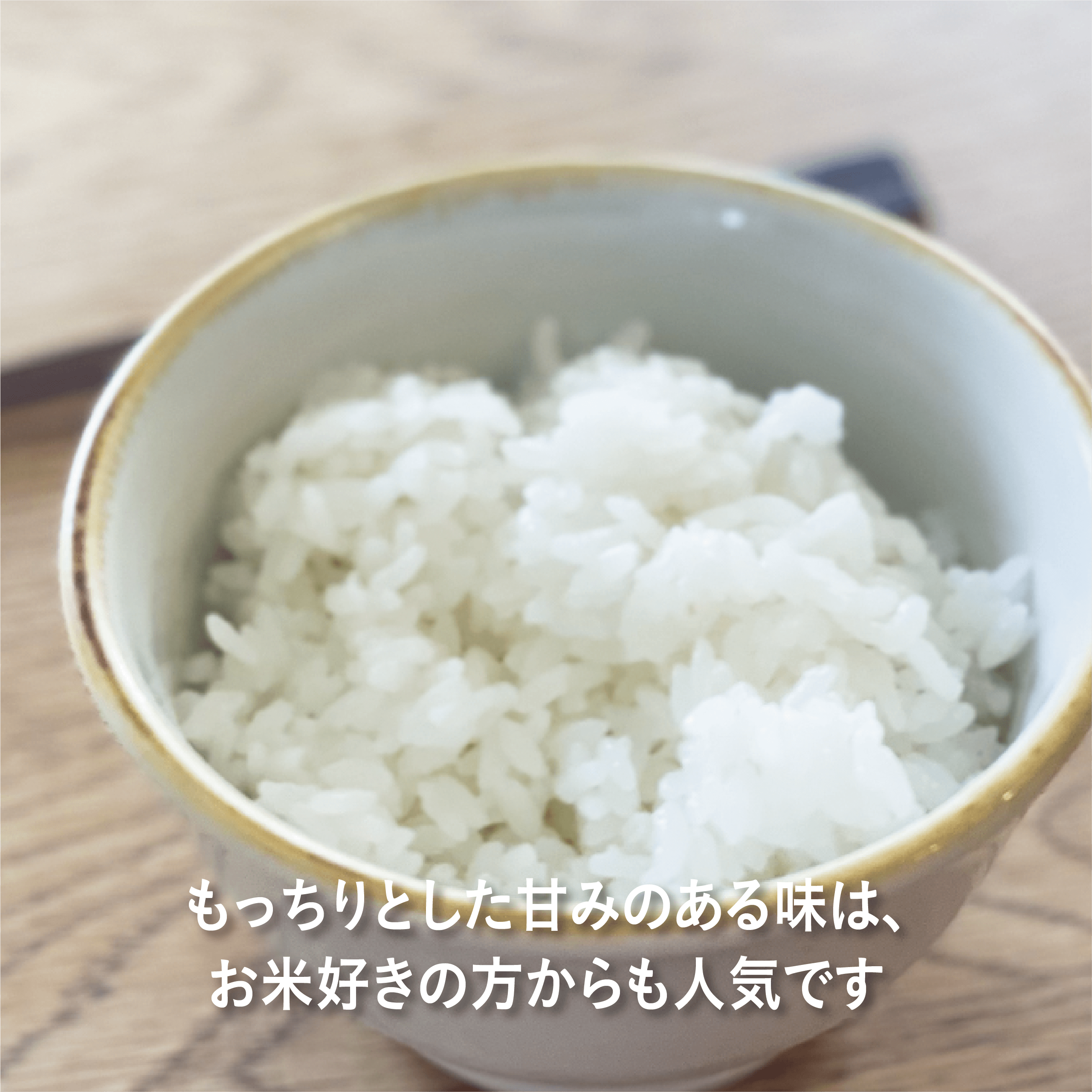 【2025年産】数量限定!高知・四万十川「清水園」の特別栽培米「おおのみ米」5キロ(白米)