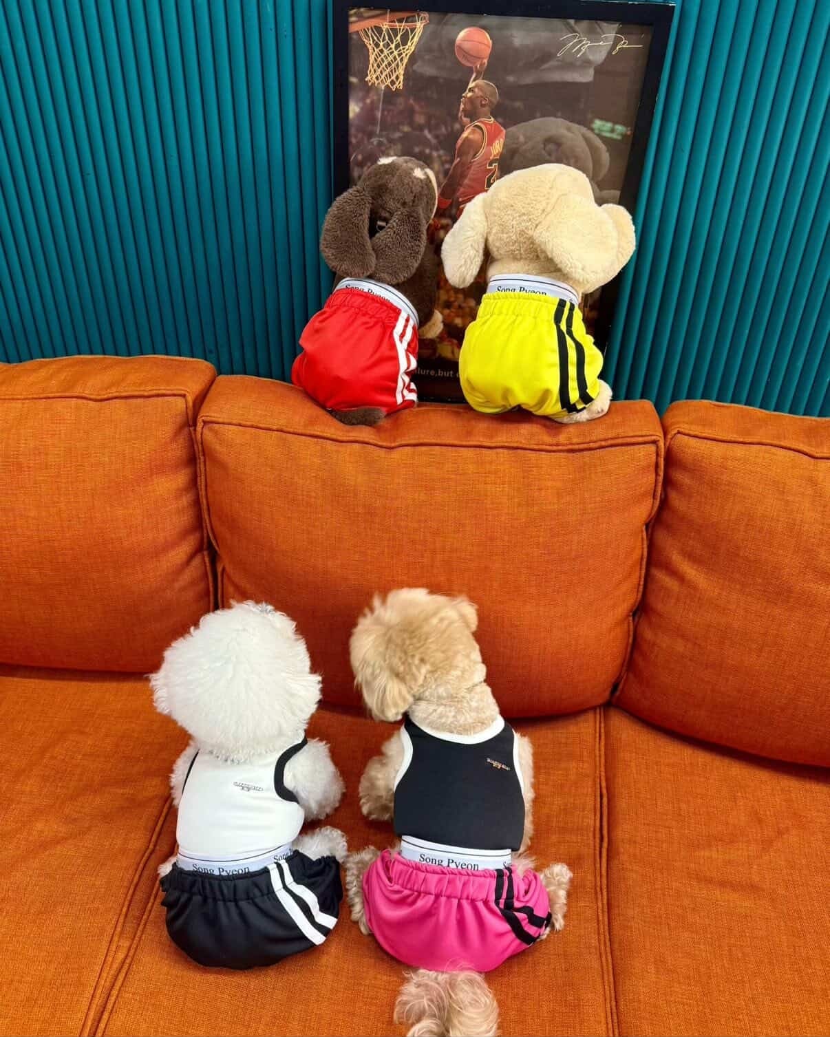 予約【songpyeon】Non-Slip Street Pants (4color)